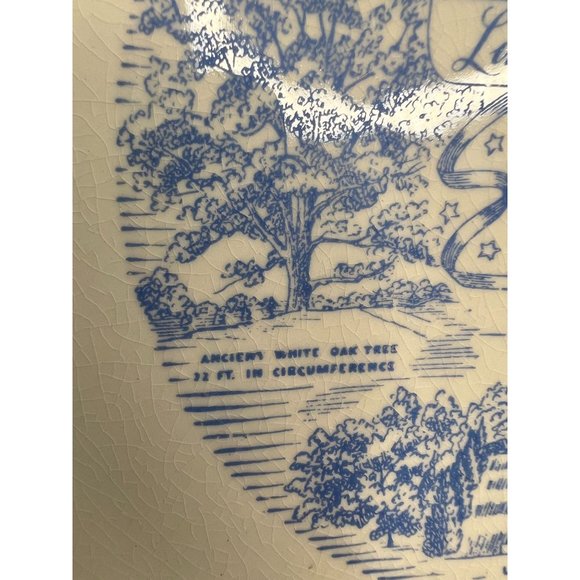 Lincolns Birth Place Kentucky Souvenir Plate  9 Inches Ironstone - Picture 7 of 16